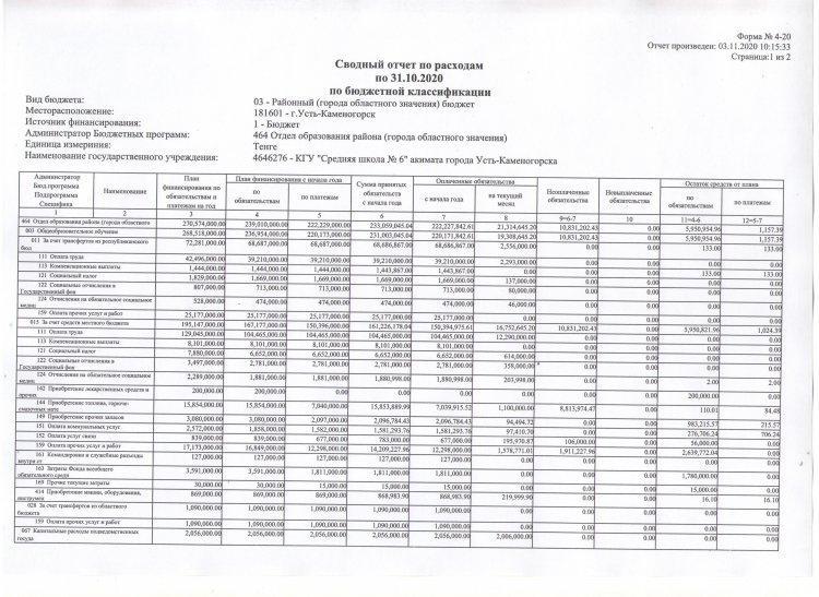 Отчет по расходам